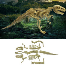 Load image into Gallery viewer, 🦖DIY Archaeological Mining Dinosaur Fossil Toys🦖