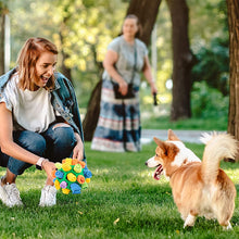 Load image into Gallery viewer, 🐶Dog Chew Toy🐱