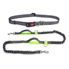 Load image into Gallery viewer, Handsfree Elastic Bungee Dog Leash