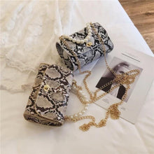 Load image into Gallery viewer, Luxury Designer Wild Serpentine Small Square Crossbody Bags