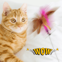 Load image into Gallery viewer, 😸Interactive Funny Cat Toys🪶