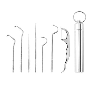 Stainless Steel Toothpick Set