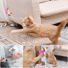 Load image into Gallery viewer, 😸Interactive Funny Cat Toys🪶