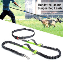 Load image into Gallery viewer, Handsfree Elastic Bungee Dog Leash