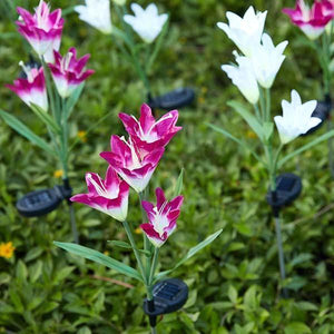 Solar Powered LED Flower Stake Set