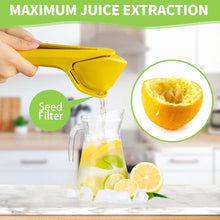 Load image into Gallery viewer, 🍋Manual Juicer