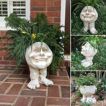 Load image into Gallery viewer, Funny Expression Flowerpot