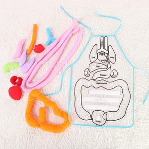 New Body Anatomy Apron