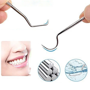 Stainless Steel Toothpick Set