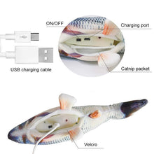 Load image into Gallery viewer, Plush Simulation USB Charging Cat Fish Toy