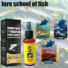 Load image into Gallery viewer, Scent Fish Attractants for Baits