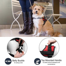 Load image into Gallery viewer, Large Dog Chest Harness