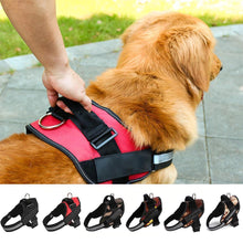 Load image into Gallery viewer, Large Dog Chest Harness