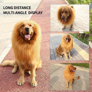 Lion Mane Wig for Dogs