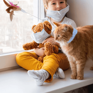 😸Interactive Funny Cat Toys🪶