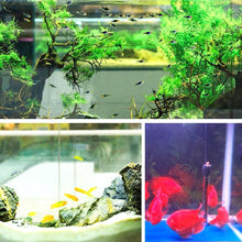 Load image into Gallery viewer, Eco-Aquarium Water Purifier Cube