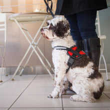 Load image into Gallery viewer, Large Dog Chest Harness