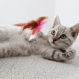 😸Interactive Funny Cat Toys🪶