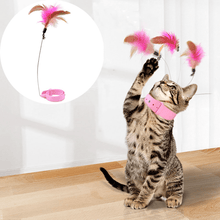 Load image into Gallery viewer, 😸Interactive Funny Cat Toys🪶