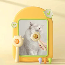 Load image into Gallery viewer, 🐈Pet Combing Brush🪒