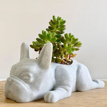 Load image into Gallery viewer, Animal Meditation Resin Ornament