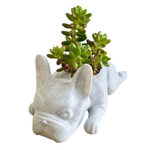 Load image into Gallery viewer, Animal Meditation Resin Ornament